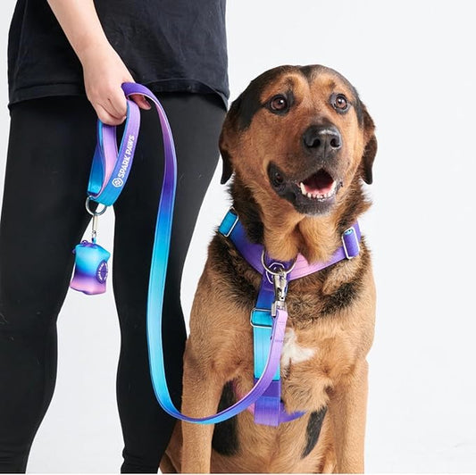 Spark Paws No Pull Dog Harness for Large Dogs, Heavy Duty Dog Harness for Big Strong Breeds, Adjustable, Y Shaped Padded Halter Design with Front Clip - 90s Retro – L