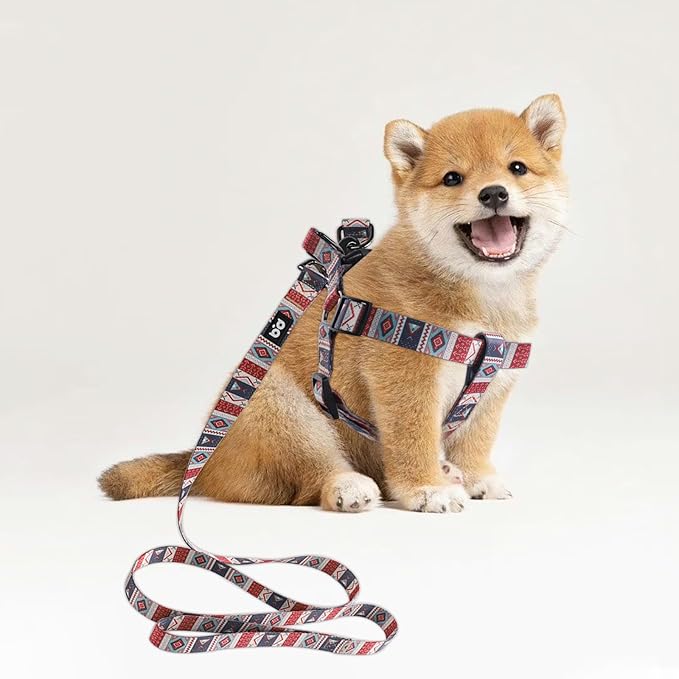 QQPETS Dog Harness Leash Set Adjustable Heavy Duty No Pull Halter Harnesses for Small Medium Large Breed Dogs Back Clip Anti-Twist Perfect for Walking