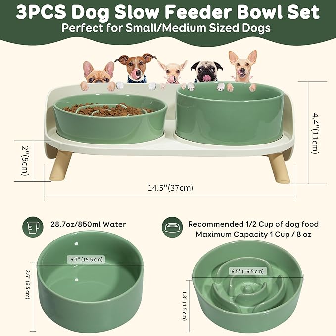 Elevated Slow Feeder Dog Bowls - Ceramic Food and Water Bowl Set with Stand - Raised Pet Dishes for Small and Medium Sized Dogs