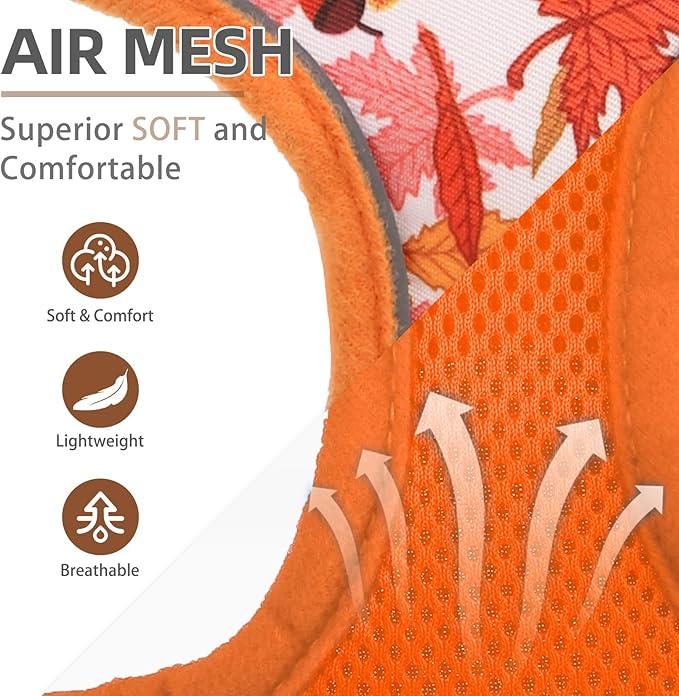PUPTECK Soft Mesh Dog Harness and Leash Set Pet Puppy Cat Comfort Padded Vest No Pull Harnesses, Orange Leaf, S