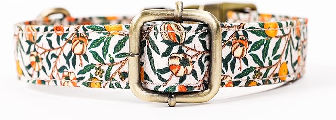 Personalized Dog Collar with Name and Phone Number Engraved,Adjustable Custom Puppy Collar,Organic Cotton Pet Collar for Small Medium Large Boy Girl Dogs