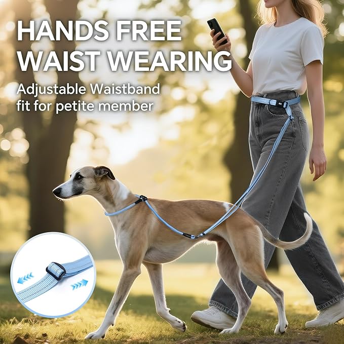 QQPETS Adjustable Slip Lead Dog Leash, Hands Free Waist Leash for Dog Walking, Reflective Training Lead with 360° Swivel Anti-Tangle, 4-7 ft Length for All Breeds
