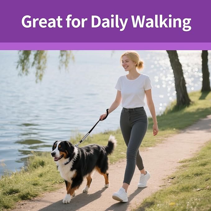 Reflective Dog Leash Fix Length, Waist for Dog Walking, Running for Small &Medium Dogs with Reflective Strips Black