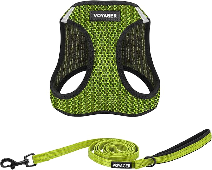 Voyager Step-in Air All Weather Mesh Harness and Reflective Dog 5 ft Leash Combo with Neoprene Handle, for Small, Medium and Large Breed Puppies by Best Pet Supplies - Lime Green (2-Tone), XL