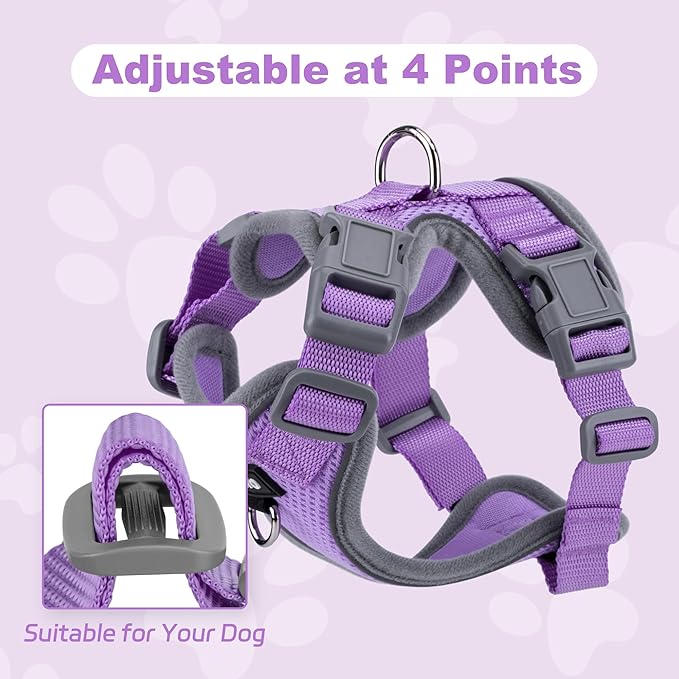 Small Dog Harness and Leash Set, No Pull Adjustable Pet Harness for Small Dogs, Breathable Mesh Rflective Dog Vest Harness (Light Purple, S)
