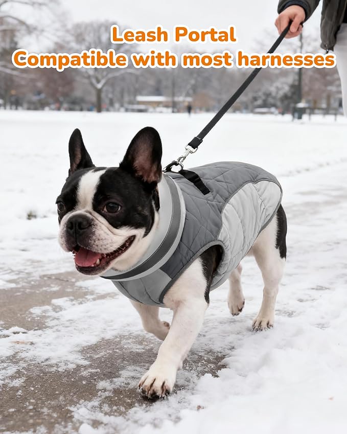Dog Coat for Small Dogs, Adjustable Dog Jackets for Cold Weather, Reflective Winter Coat with Built-in Harness, Snowsuit Fits Dogs 7-14 lbs and Up, Size S Black