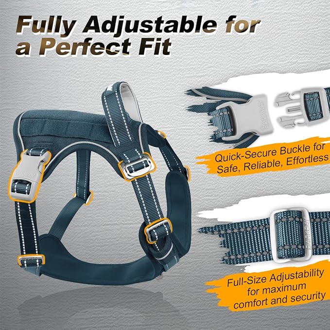 BARKBAY Service Dog Vest Tactical Dog Harness Medium Large Sized Dog Tags Personalized No Pull Adjustable Harness Reflective Working Training Easy Control Military Molle System(Legion Blue,XL)