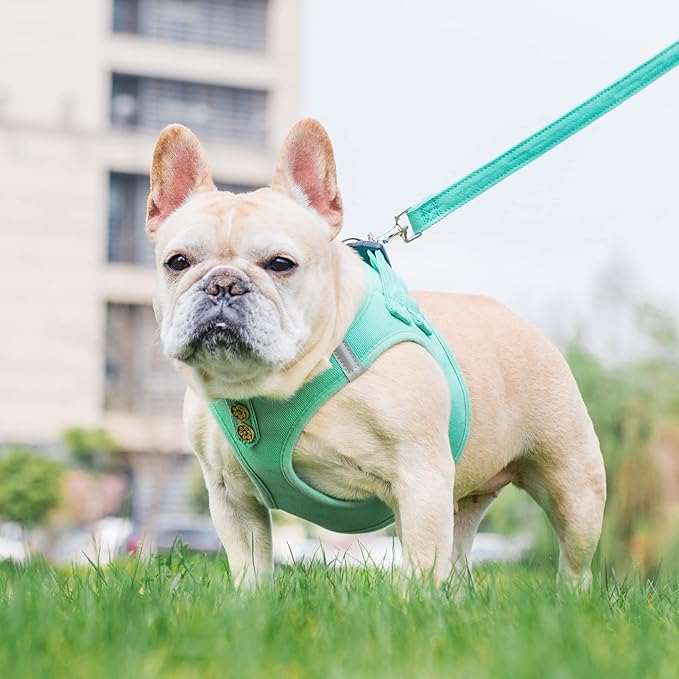 PUPTECK Dog Harness and Leash Set for Small Medium Dogs No Pull Step-in Soft Mesh Puppy Cat Vest Harnesses Reflective at Night, Denim Green XS