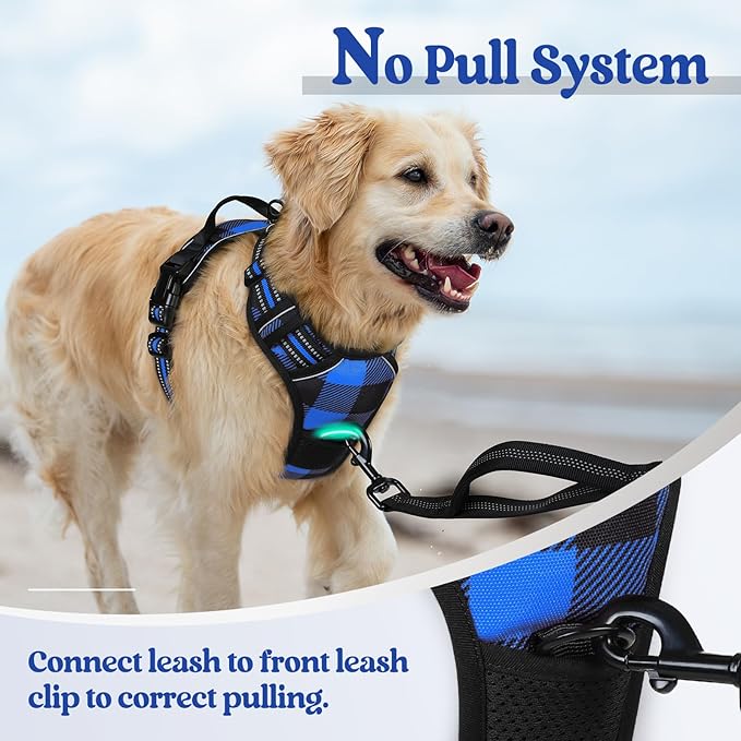 rabbitgoo Dog Harness No-Pull, Comfortable Padded Plaid Harness with Handle Easy Control, Adjustable Reflective Pet Vest with 2 Leash Clips for Small Dog, Blue Plaid, S
