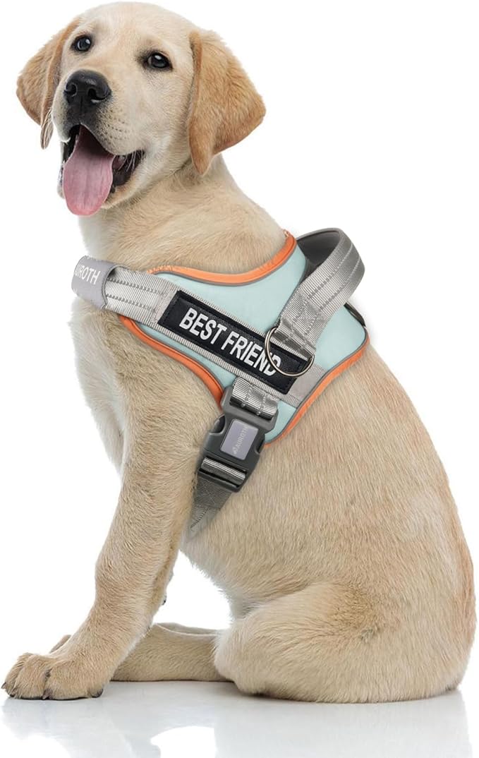 AUROTH Dog Harness No Pull Soft Padded Service Dog Vest, No Choke, Easy On Pet Vest with Handle, Adjustable Reflective Dog Harness for Small, Medium and Large Dogs, Easy Walking and Training