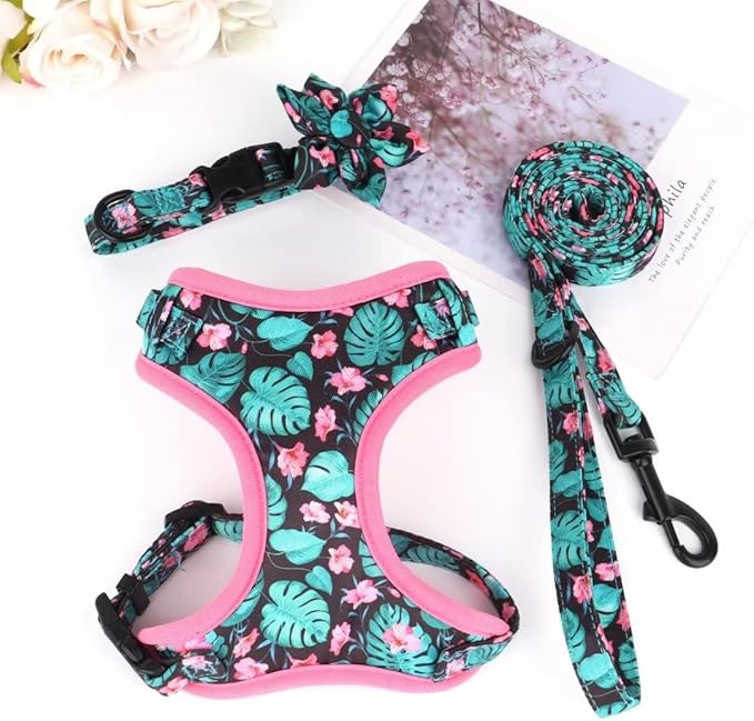 Beirui Cute Girl Dog Collars, Harnesses & Leashes Set - Adjustable Dog Collar and Leash Set with Flower - Soft Mesh Dog Vest Harness for Puppies Small & Extra Small Dogs Cats (Green,XXS)