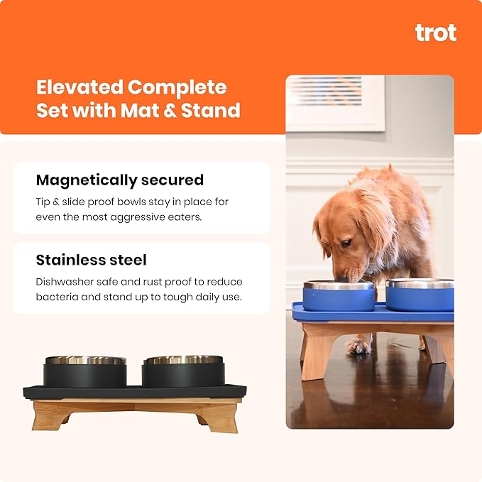 Trot Pets Elevated Dog Bowls | Stainless Steel Raised Bowl Set for Small, Medium, or Large Dogs | Non-Slip Food and Water Slow Feeder | Durable, BPA-Free, Anti-Skid, Dishwasher Safe (Sky, Small)