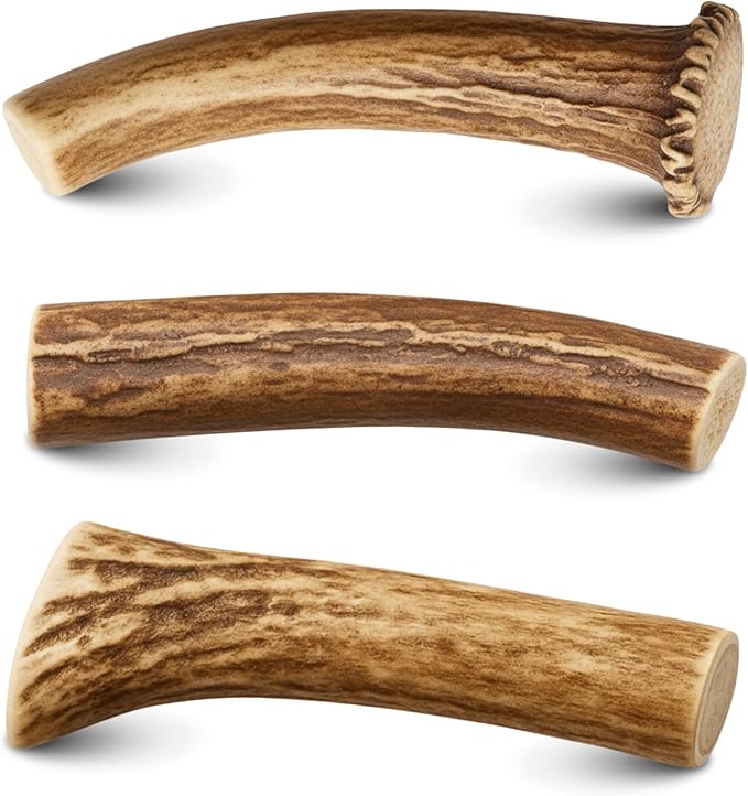 WhiteTail Naturals - Antlers for Small Dogs (3 Pack) Deer Antler Dog Chew Bones for Small Aggressive Chewers - Long Lasting Horn Chew Toys - Naturally Shed