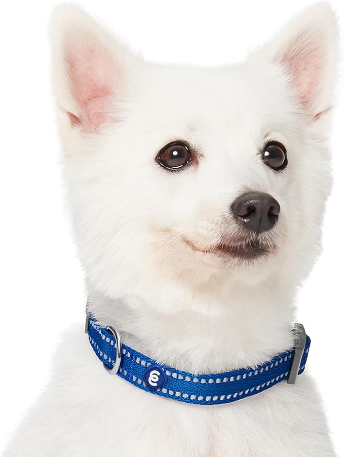 Blueberry Pet Essentials Reflective Dog Collar & Leash Set, Adjustable for Medium Dogs | Safe Walking Gear for Pet Parents, Puppy Training & Daily Use MediumDogs, Navy