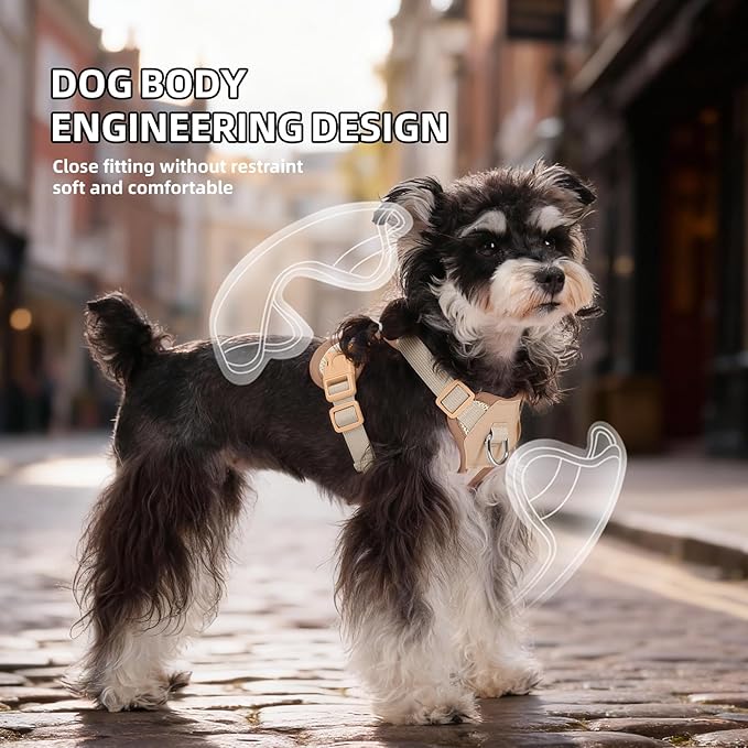 Small Dog Harness and Leash Set, Breathable Mesh Puppy Harness, Adjustable Dog Harness for Small Medium Large Dogs, No-Pull Pet Harness for Daily Walking (Faint Yellow, X-Large)