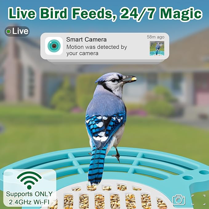 Smart Bird Feeder with Camera Solar Powered - AI Bird Identification, 2K HD Video Live Stream Camera, 3MP Photos, 2.9in Focus, Gifts for Mom Dad Birdlovers, Blue