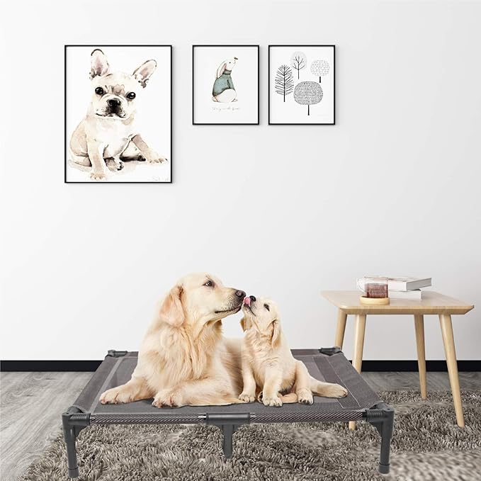 suddus Elevated Dog Bed for Medium Dogs, Dual Support Cooling Cot with Teslin Mesh, Portable Waterproof Pet Bed for Indoor/Outdoor Use, Medium, 30x23x6.3 Inch, Grey