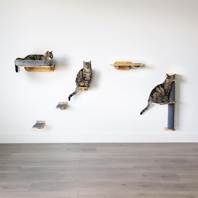 Cat Wall Shelves – Cat Wall Climber with Scratching Post, Removable Bed, Climbing Steps, and Feeding Terrace with Glass Bowls, Waterproof Rubberwood Pet Furniture