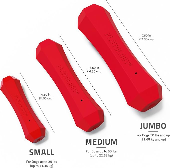 Playology Dog Toys | Durable Squeaky Chew Stick for Dogs | Medium Beef Scented Toy, Value 2-Pack - Easy to Clean and Made from Non Toxic Materials