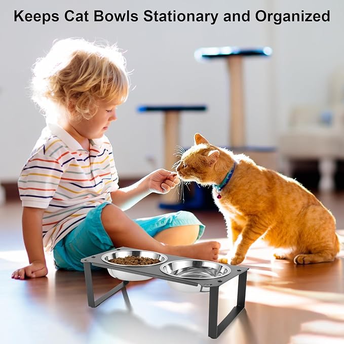 3 Set Elevated Cat Food Water Bowls, 6 Stainless Steel Bowls for Indoor Pet with Cute Metal Stand, 10° Tilted Anti-Vomiting Raised Wide Shallow Cat Dishes Whisker Friendly for Multiple Kitten,Puppy