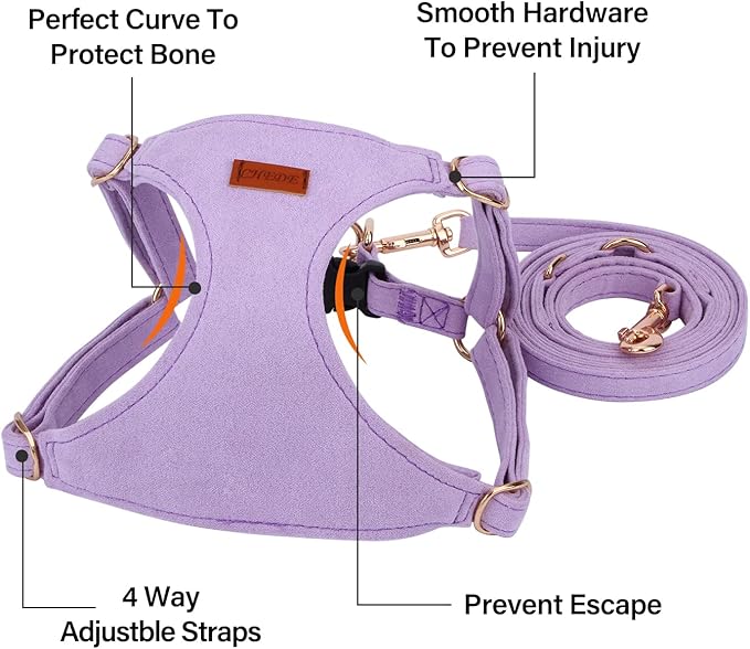 CHEDE No Pull Puppy Harness and Multifunction Dog Leash Set- 8 Colors Soft Adjustable No Choke Escape Proof Cute,Lightweight Pet Vest Harness for Small and Medium Dog (M, Purple)