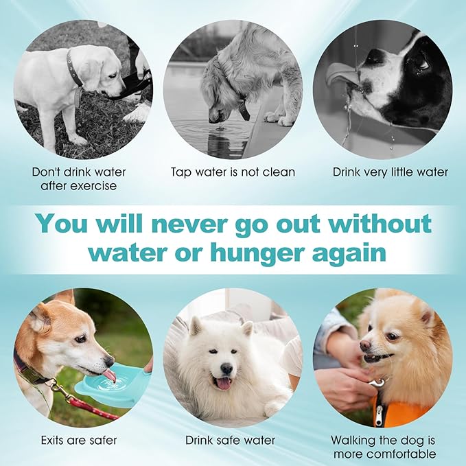 Portable Dogs Water Bottle with Food Storage Container, Leakproof Drinking Water Dispenser Feeder for Outdoor Dog Stuff Accessories Items for Cats, Puppy,for Walking, Hiking (Blue, 550ml)