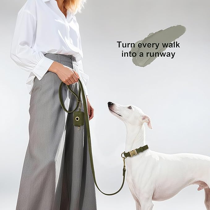 Didog Soft PU Leather Dog Collar, Stylish Quick Released Dog Collars for Medium Dogs, Easy Clean Adjustable Pet Collar for Daily Walking, Dark Green, M Fit 13-21" Neck