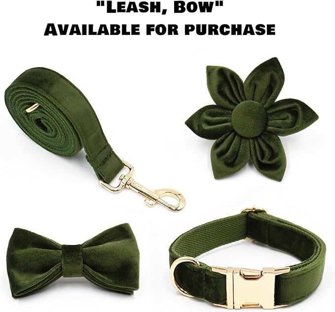 Velvet Personalized Dog Collar with Name - Customizable Dog Collar with Quick Release Metal Buckle - Leash and Bow Tie Available (Olive Green, XL)