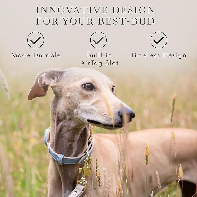 NINA WOOF Cupertino Dog Collars, Harnesses & Leashes Made from Vegan Leather with Dog Tracker Device Holder Adjustable Dog Collar (Small, Blue)