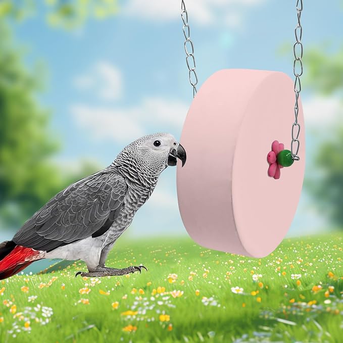 Bird Beak Grinding Stone – Large Blue Cylinder Parrot Chew Toy with Metal Hanging Chain – Cage Accessory for Macaws, African Greys, Cockatiels & Medium to Large Birds