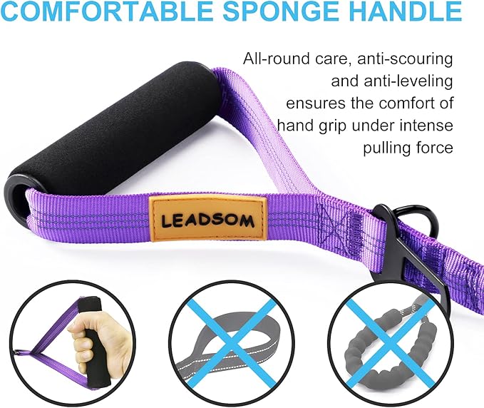 6FT Highly Reflective Heavy Duty Elastic Bungee Medium and Large Dog Leash Shock Absorbing with Comfortable Padded Handle and Traffic Handle Suitable for Training