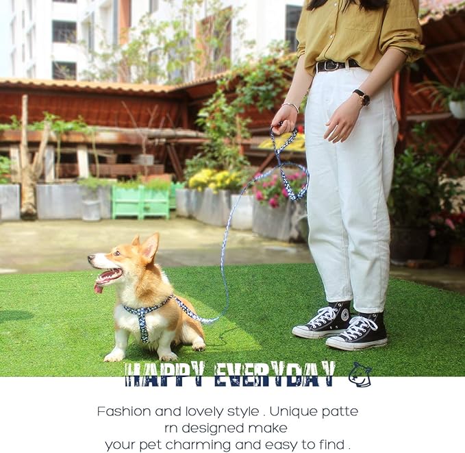 QQPETS Dog Harness Leash Set Adjustable Heavy Duty No Pull Halter Harnesses for Small Medium Large Breed Dogs Back Clip Anti-Twist Perfect for Walking (XS(12"-18" Chest Girth), Bone)