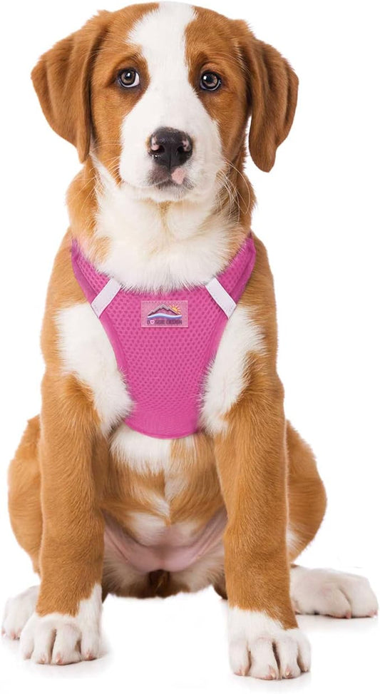 Doggie Design Dog Harness - No Choke Dog Harness, Dog Vest, Mesh Polyester, Pet Harness, Simple Step in and Go Design, Harness for Dog - Candy Pink, L
