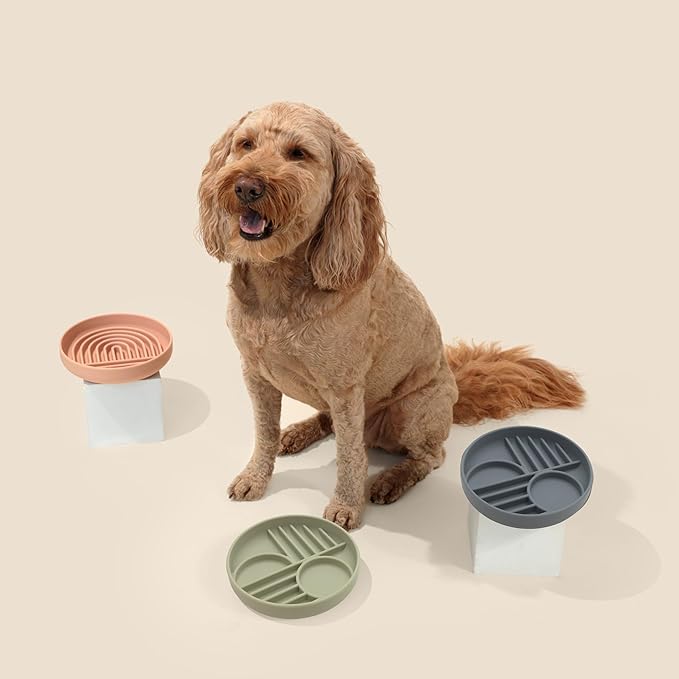Should We Go? Slow Feeder for Dogs & Puppies, The Slowdown Bowl Silicone Slow Eating, Modern Lick Mat Design, Reduces Gulping, Fits 2 Cups, 7.5” Across x 1.5” Tall, Mealtime Challenge, Medium-Charcoal