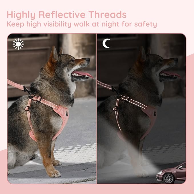 BELLA & PAL Adjustable Step-in Dog Harness, Puppy No-Pull Vest with Leash Set for XS/Small & Medium Dog, Breathable All-Weather Mesh, Reflective Strip, Secure Hook & Loop, Buckle Closure