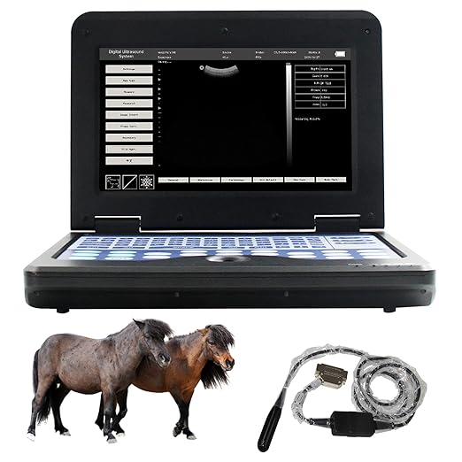 CONTEC CMS600P2 Vet Veterinary use Portable Laptop B-Ultra Sound Scanner Machine for Horse/Equine/Cow/Sheep use (Rectal Linear Probe)