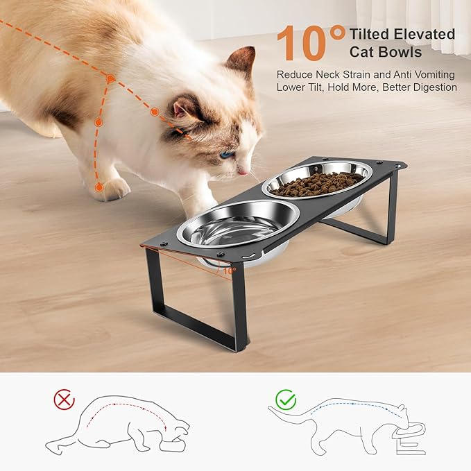 3 Set Elevated Cat Food Water Bowls, 6 Stainless Steel Bowls for Indoor Pet with Cute Metal Stand, 10° Tilted Anti-Vomiting Raised Wide Shallow Cat Dishes Whisker Friendly for Multiple Kitten,Puppy