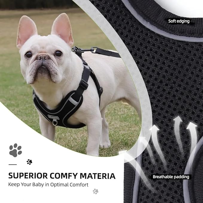 Dog Harness and Leash Set, Adjustable Triangle, Reflective Adjustable Puppy Vest, No Pull Soft Mesh Harness for Small, Medium Dogs, Cats (Black, XL)