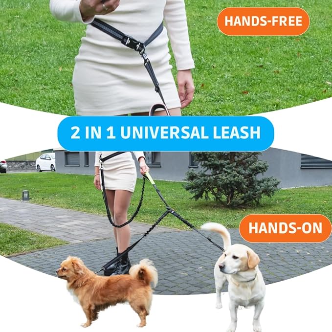 SparklyPets - Hands Free Double Dog Leash - Dual Dog Leash for 2 Small Dogs - with Padded Handles, Reflective Stitches - No Pull, Tangle Free, for Walking, Hiking, Canicross - for Small Dogs