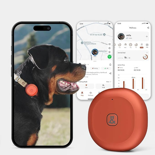 Molly&Cody GPS + Bluetooth Pet Tracker for Cats & Dogs – Real‑Time Tracking, Virtual Fence, IP67 Waterproof, Up to 60‑Day Battery, Health Monitoring, iOS/Android – Subscription Required (Red)