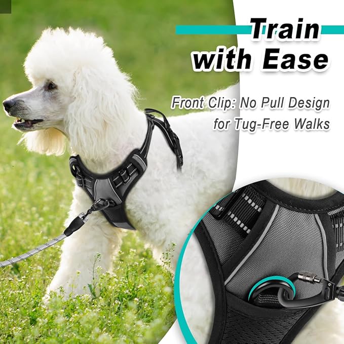 BARKBAY Dog Harness No Pull for Small Dogs - Adjustable, Reflective, Comfortable, No Choke, Heavy-Duty - Perfect for Outdoor Training, Walking, and Hiking - Strong & Durable - XS & Dark Grey