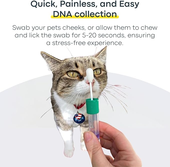 Basepaws Cat DNA Test Kit 2 Pack - 21+ Breeds, 114+ Health and Dental Traits for Comprehensive Accurate and Easy-to-Use Genetic Insights