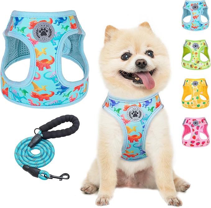 BEAUTYZOO Step in Dog Harness and Leash Set,Reflective Dog Harness No Pull No Choke Puppy Harness for Small Medium Large Dogs Cats,Soft Padded Mesh Vest Harnesses for Girl and Boy Pets,Dinosaurs S