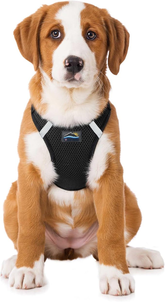 Doggie Design Dog Harness - No Choke Dog Harness, Dog Vest, Mesh Polyester, Pet Harness, Simple Step in and Go Design, Harness for Dog - Black, L