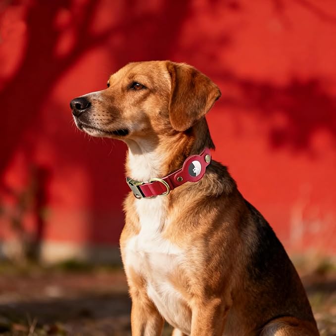AirTag Dog Collar for Medium Dogs - Soft Leather Dog Collar with Apple AirTag Holder and Metal Buckle - Smart Tracker GPS Apple Air Tag Pet Collars (Red, M)