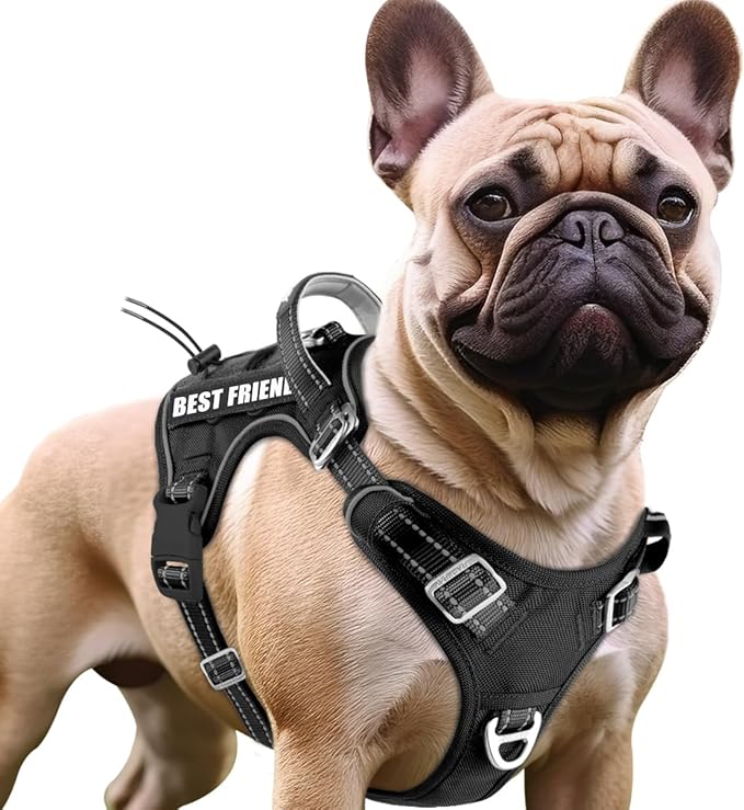 BARKBAY Service Dog Vest Tactical Dog Harness Medium Large Sized Dog Tags Personalized No Pull Adjustable Harness Reflective K9 Working Training Easy Control Military Molle System(Black,S)