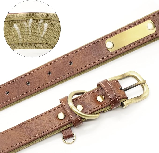 Personalized PU Leather Dog Collar with Custom Bronze Nameplate, Multi-Color, Soft Neoprene, Vintage Bronze Accessories, Optional Leash (Green, XS (8-11 Inches))