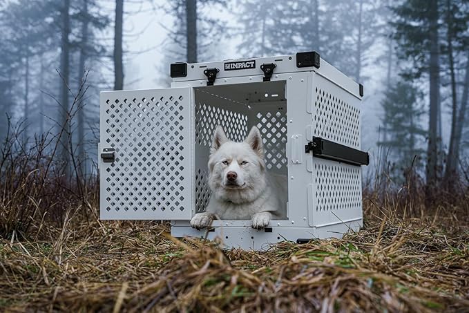Impact Collapsible Dog Crate - Foldable Hard Crate for XXL Dogs - Heavy Duty Travel Kennel with Powder-Coated Aluminum - Quick Setup for Indoor & Outdoor (White, 48" (48" L x 27" W x 33" H))