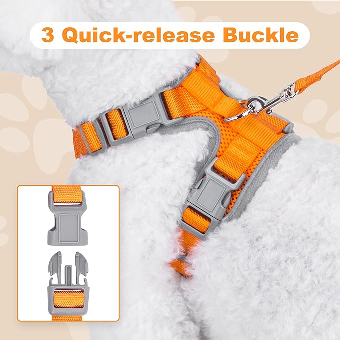 Small Dog Harness and Leash Set，No Pull Adjustable Pet Harness for Small Dogs ，Breathable Mesh Reflective Dog Vest Harness (Orange, XXS)