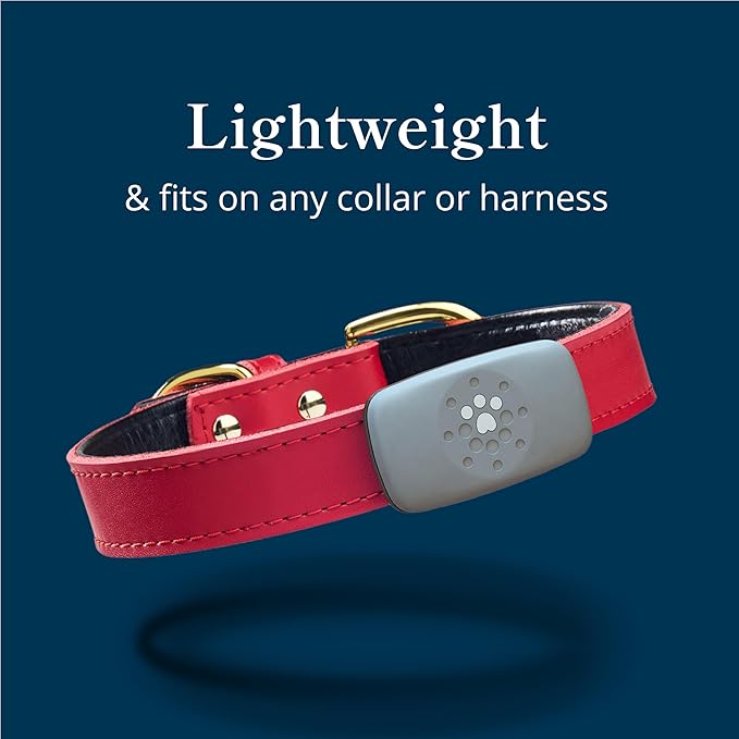 Petivity Smart GPS and Activity Dog Tracker